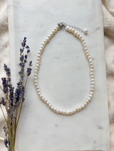 Freshwater Pearl Choker Necklace